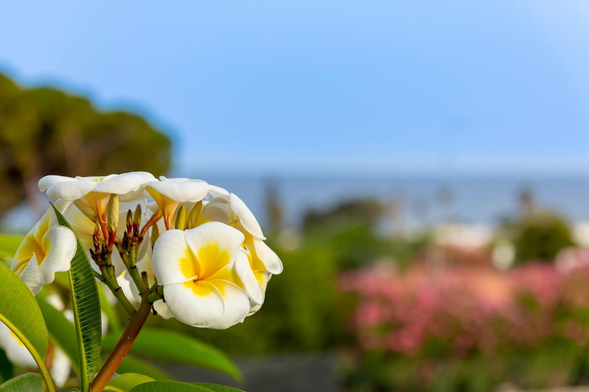Nice To Stay Fontane Bianche Exterior foto